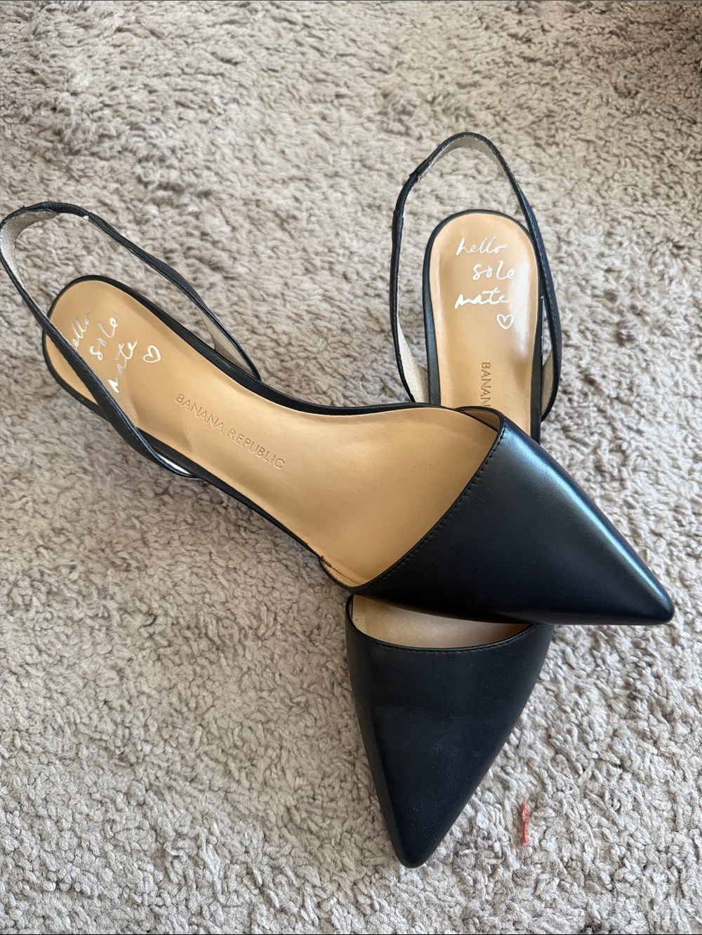 Banana Republic Black Pointed Slingback Flats